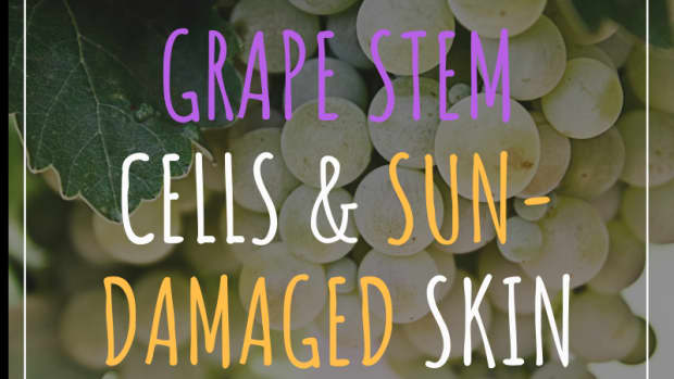 grape_stem_cell_extract_reverses_signs_of_sun_damaged_skin