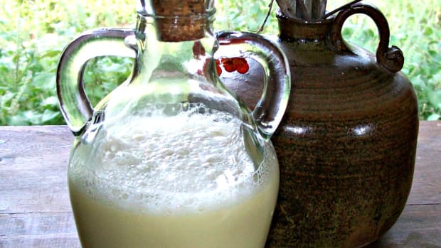 homemade-coconut-milk-shampo