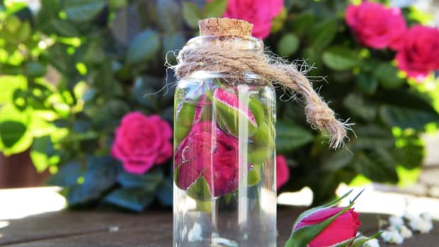 how-to-use-rose-water-diy-toner-spray